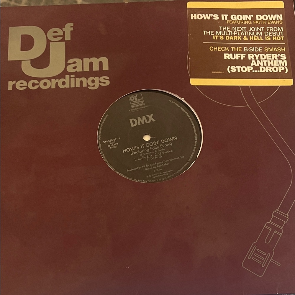 DMX Vinyl Record - Maroon